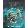Connecting With Our First Family: Colouring Book - Paperback