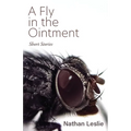 A Fly in the Ointment: Short Stories - Paperback