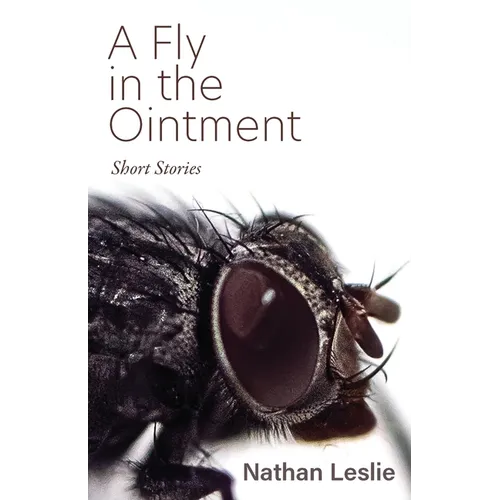 A Fly in the Ointment: Short Stories - Paperback