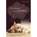 A Cat Named Darwin: Embracing the Bond Between Man and Pet - Paperback