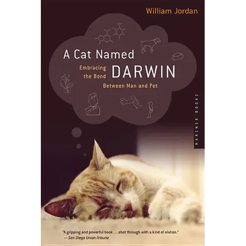 A Cat Named Darwin: Embracing the Bond Between Man and Pet - Paperback