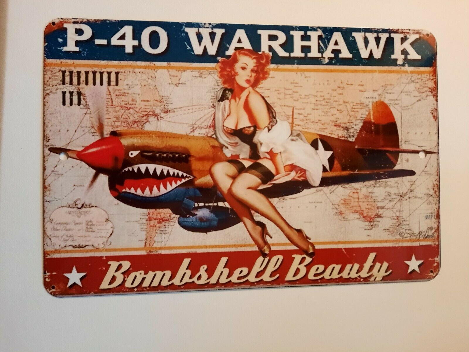P-40 Warhawk Bombshell Beauty 8x12 Inch Aluminum Metal Wall Sign for Garage, Man Cave, Military Jet Decor
