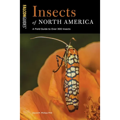 Insects of North America: A Field Guide to Over 300 Insects - Paperback