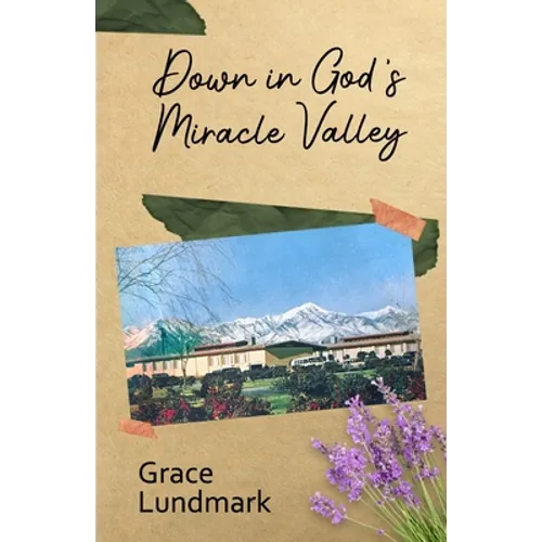 Down in God's Miracle Valley - Paperback