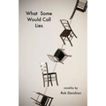 What Some Would Call Lies - Paperback