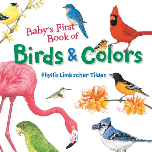 Baby's First Book of Birds & Colors - Board Book