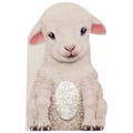 Furry Lamb - Board Book