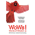 CEO Words of Wisdom - Paperback