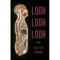 Look Look Look - Paperback