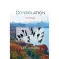 Consolation; Poems - Paperback