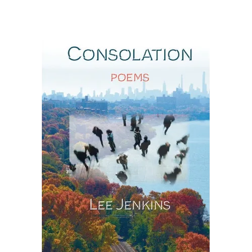 Consolation; Poems - Paperback