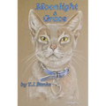Moonlight & Grace - Paperback