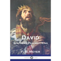 David: Shepherd, Psalmist, King - Paperback