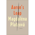 Aaron's Leap - Paperback