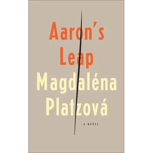 Aaron's Leap - Paperback