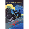 Lost At Sea - Paperback