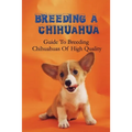 Breeding A Chihuahua: Guide To Breeding Chihuahuas Of High Quality: Chihuahua Dog Breed Information - Paperback