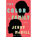 The Color of Family - Paperback