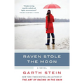 Raven Stole the Moon - Paperback