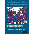 Brownian Motion - Hardcover