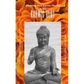 Karma Debit, clear it, before you pay it: Cleaning Past Karma (Karma Debt) - Paperback