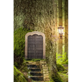 Forest Door, Discreet Internet Password Logbook, Large Print - Paperback