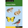 Backyard Wildlife - Paperback