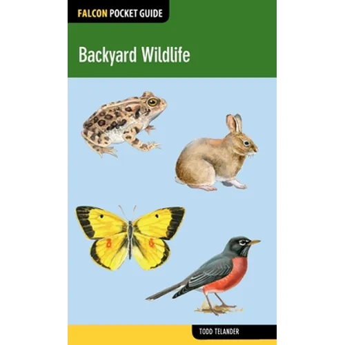 Backyard Wildlife - Paperback