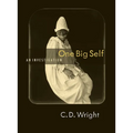 One Big Self - Paperback