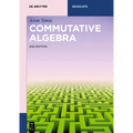Commutative Algebra - Paperback