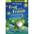 Outdoor Surprises - Paperback