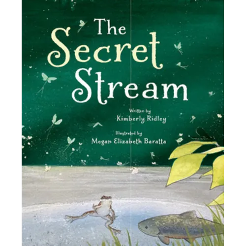 The Secret Stream - Hardcover
