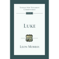 Luke: An Introduction and Commentary - Paperback