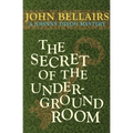 The Secret of the Underground Room - Paperback
