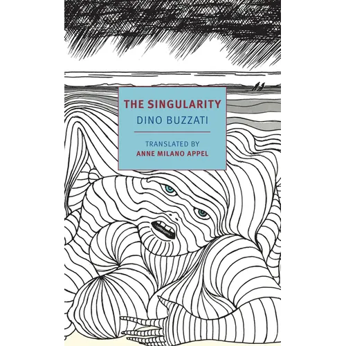 The Singularity - Paperback