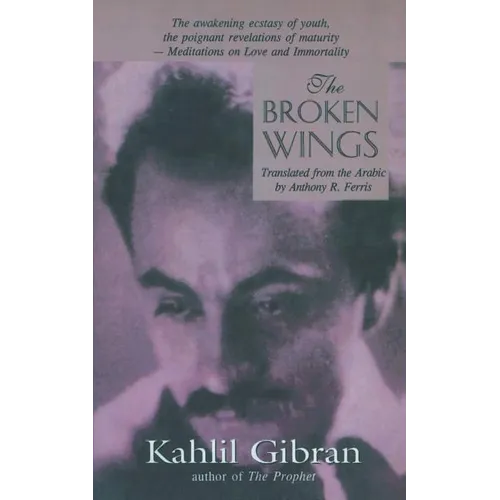 The Broken Wings - Paperback