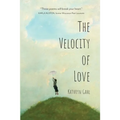 The Velocity of Love - Paperback