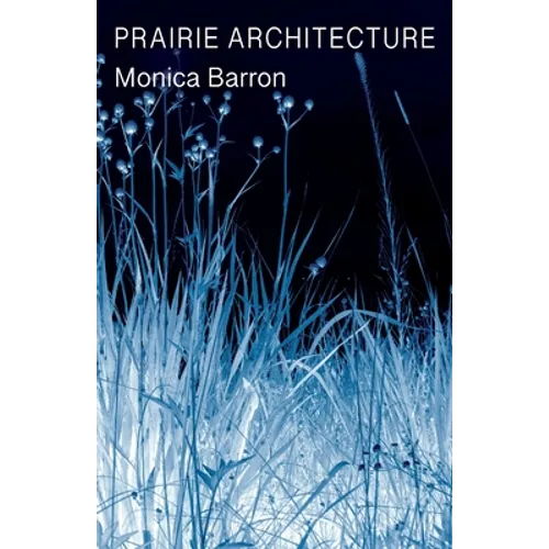 Prairie Architecture - Paperback