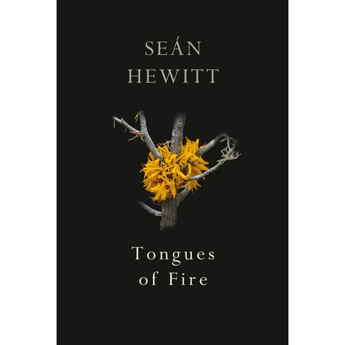 Tongues of Fire - Paperback