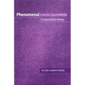 Phenomenal Consciousness: A Naturalistic Theory - Paperback