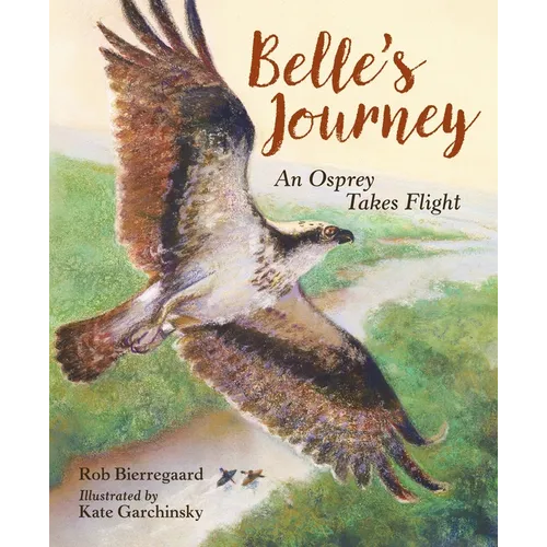 Belle's Journey: An Osprey Takes Flight - Hardcover
