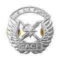 U.S. Air Force TACP Basic STA-BRITE® Large Badge (all silver color)