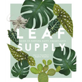 Leaf Supply: A Guide to Keeping Happy House Plants - Hardcover