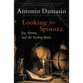 Looking for Spinoza: Joy, Sorrow, and the Feeling Brain - Paperback