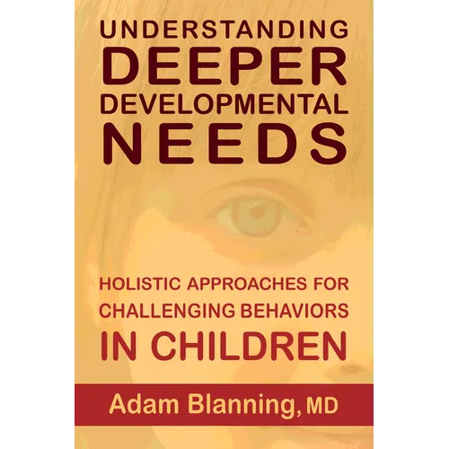 Understanding Deeper Developmental Needs: Holistic Approaches for Challenging Behaviors in Children - Paperback