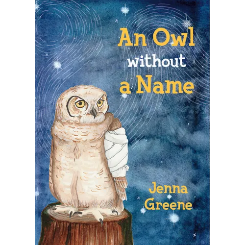 An Owl Without a Name - Paperback