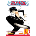 Bleach, Vol. 18: The Deathberry Returns - Paperback