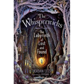 The Labyrinth of Lost and Found - Hardcover