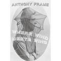 Where Wind Meets Wing - Paperback