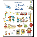 Big Book of Words - Board Book